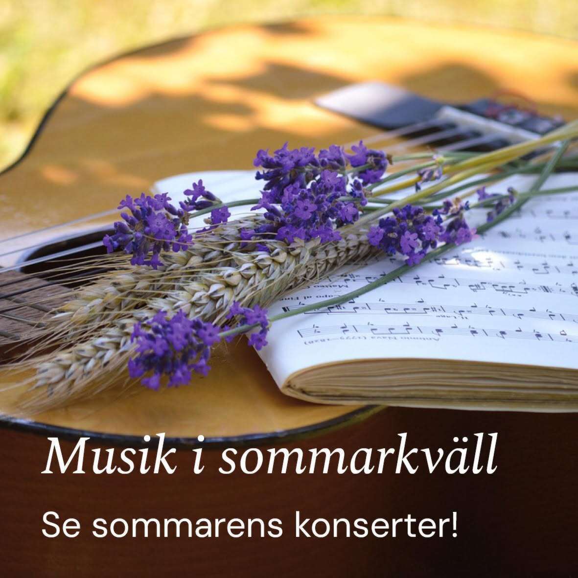Bild till evenamnget Musik i sommarkväll