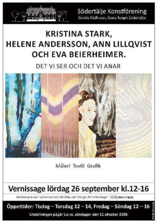 DET VI SER OCH DET VI ANAR
