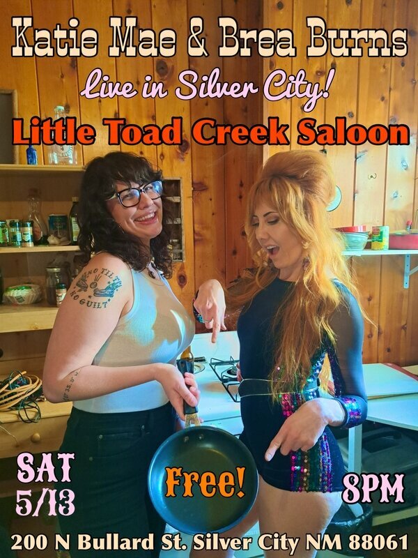 Silver city daily press